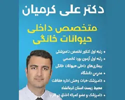 متخصص داخلی حیوانات خانگی