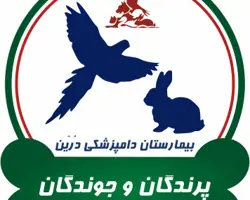 کلینیک پرندگان زینتی