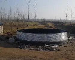 نصب استخر ماهی
