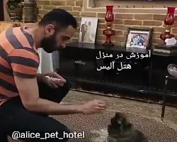 اعزام مربی مجرب به منازل