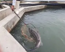 مشاوره حضوری خارج از استان
