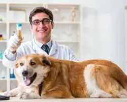  آزمایش کامل ادرار