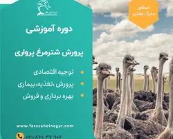 کارگاه دوره آموزشی پرورش شترمرغ