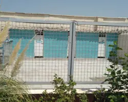 پانسیون و نگهداری سگ