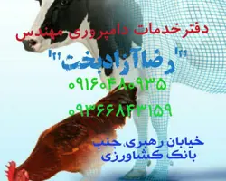 تلقیح دام مهندس رضاازادبخت