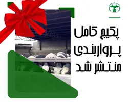 دوره آموزشی پرواربندی گوساله