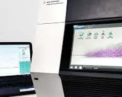 آزمون ویروسی در گربه(ویروس نقص ایمنی گربه (FIV) به روش PCR)