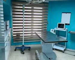 خدمات درمانی پت 