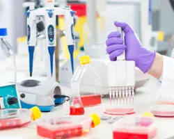 آزمون انگل خونی در گربه و سگ(هموبارتونلا (مایکوپلاسما) به روش PCR)