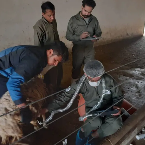 تصویر شماره 3 خدمت 