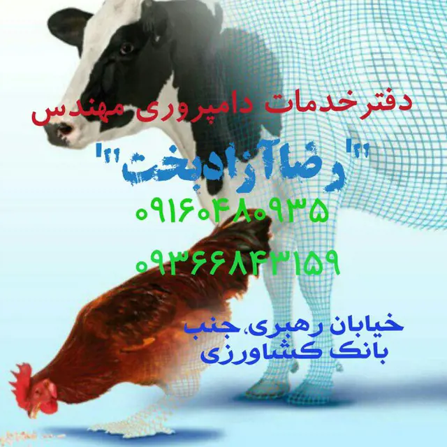 تصویر شماره 1 خدمت 