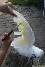 تصویر شماره 1 خدمت 