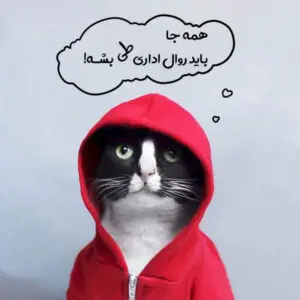 تصویر شماره 2 خدمت 