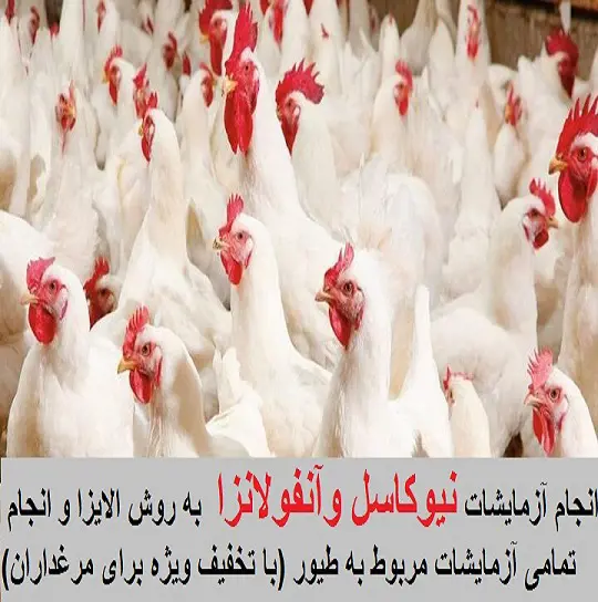 تصویر شماره 1 خدمت 