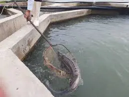 تصویر شماره 1 خدمت 