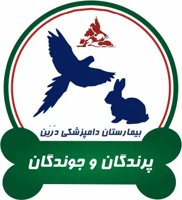 تصویر شماره 1 خدمت 