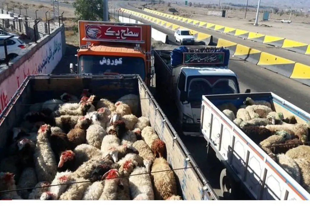 تصویر شماره 2 خدمت 