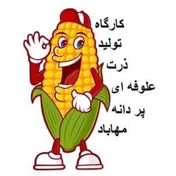کارخانه ذرت علوفه‌ای کشت اول پر دانه مهاباد 