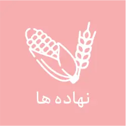 خوراک دام شمال