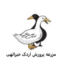 غرفه مزرعه پرورش اردک خیرالهی