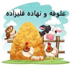 غرفه علوفه و نهاده قلیزاده