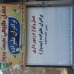 ارگانیک سرای علیزاده اسفراین 