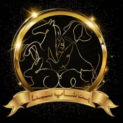 غرفه فروشگاه سوارکاری دکترگورکانی