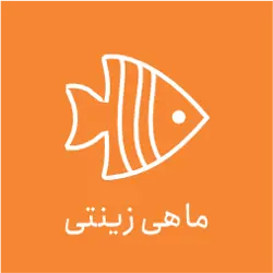 پرورش ماهی  زینتی فیش برمودا