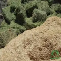 غرفه پخش علوفه آقا یاری