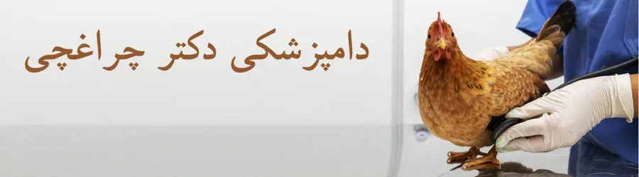 غرفه دامپزشکی دکتر چراغچی