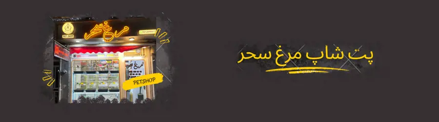غرفه پت شاپ مرغ سحر