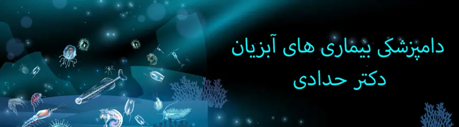 غرفه دامپزشک بیماری های آبزیان