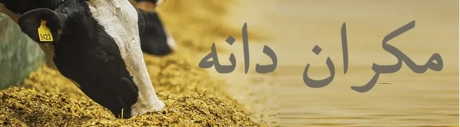 غرفه مکران دانه