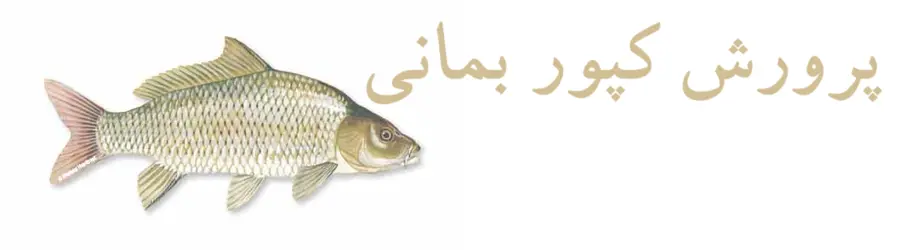 غرفه پرورش کپور بمانی