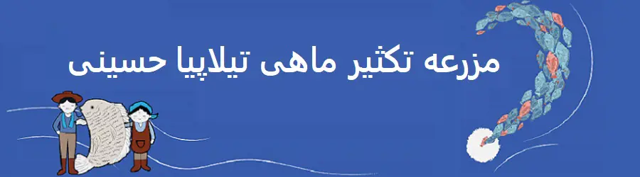 غرفه مزرعه تکثیر ماهی تیلاپیا حسینی
