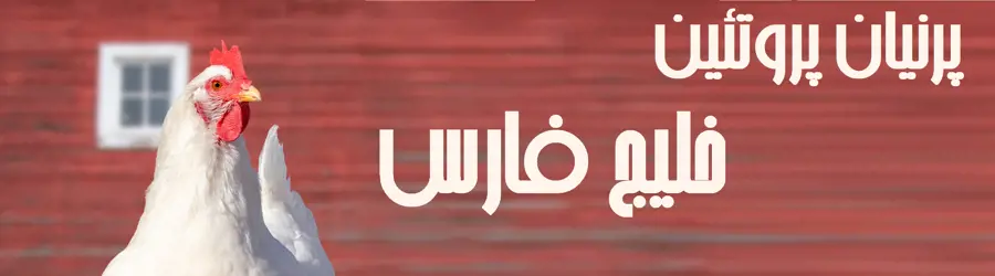 غرفه پرنیان پروتیین خلیج فارس