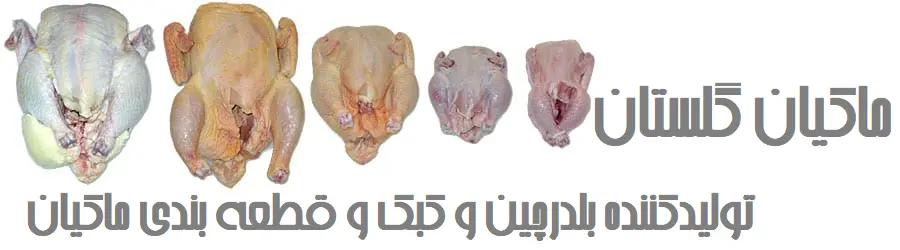غرفه ماکیان گلستان