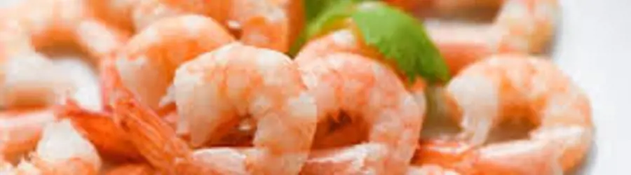 غرفه میگو بیرمی