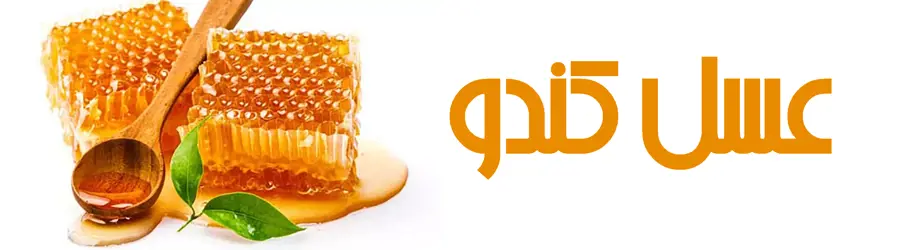 غرفه عسل کندو