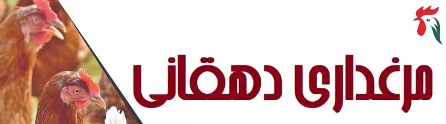 غرفه مرغداری دهقانی
