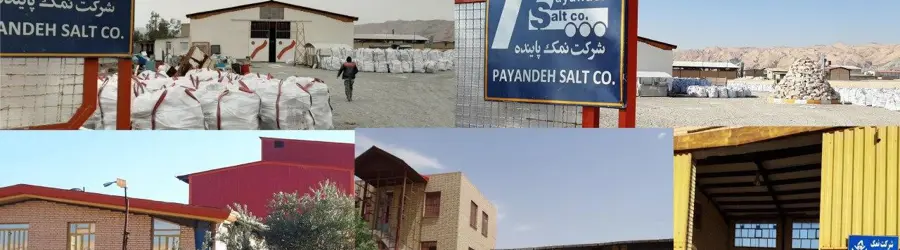 غرفه تولید و تهیه انواع محصولات نمک معدنی پاینده