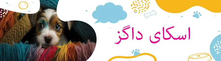غرفه اسکای داگ
