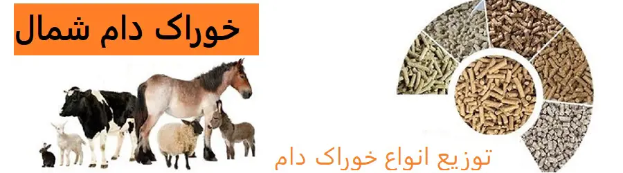 غرفه خوراک دام شمال