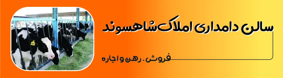 غرفه املاک شاهسوند