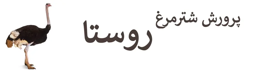 غرفه پرورش شترمرغ روستا