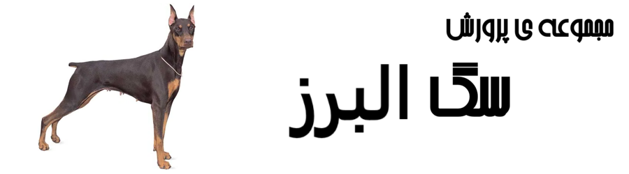 غرفه مجموعه ی پرورش سگ البرز