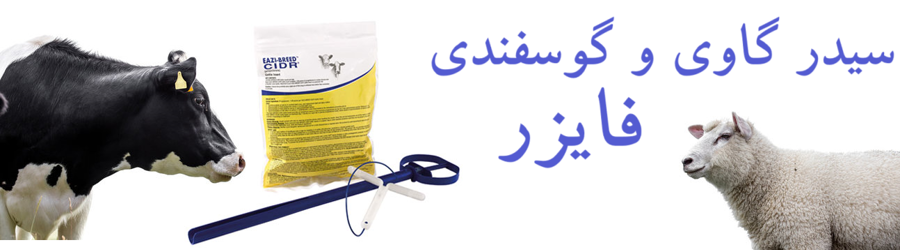 غرفه سیدر دامی فایزر (بام فارس)