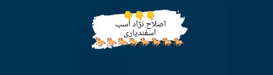 غرفه اصلاح نژاد اسب اسفندیاری