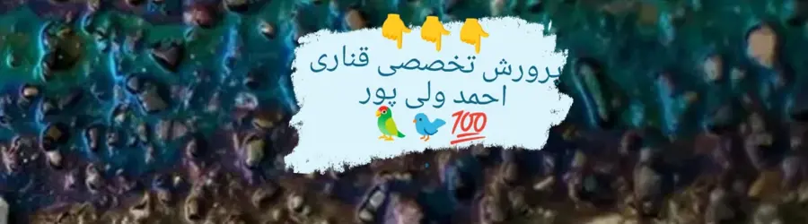 غرفه پرورش تخصصی قناری