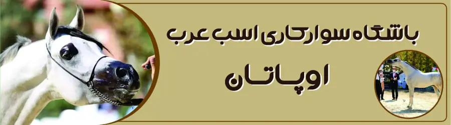 غرفه باشگاه سوارکاری اسب عرب اوپاتان